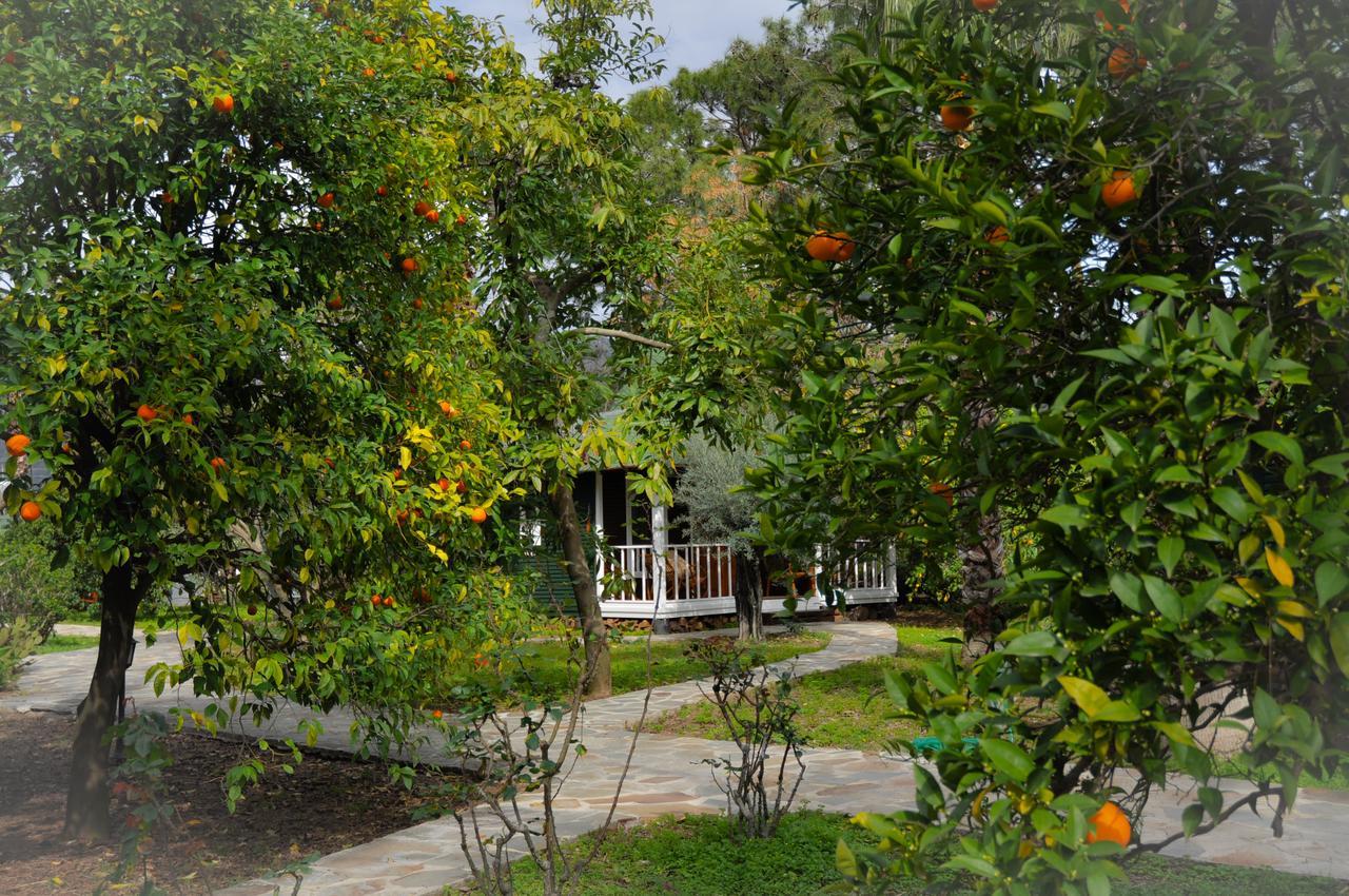 Çıralı Arcadia Hotel מראה חיצוני תמונה