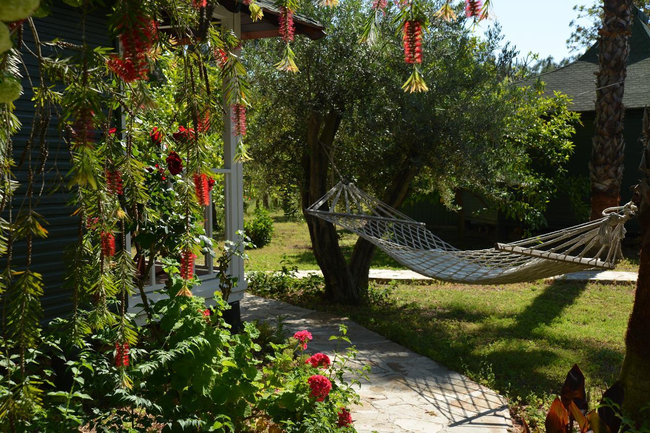 Çıralı Arcadia Hotel מראה חיצוני תמונה