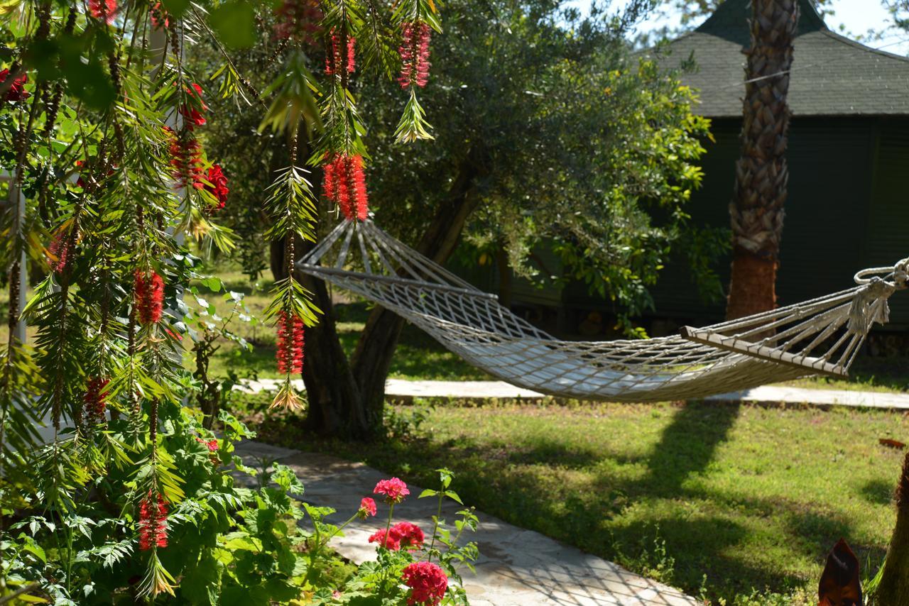 Çıralı Arcadia Hotel מראה חיצוני תמונה